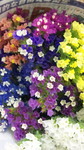 110526_095411.jpg