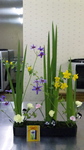 110421_201201.jpg